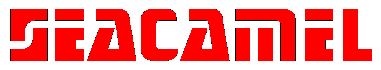 Партнеры CNGS Engineering — Seacamel